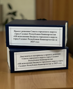 Проект отчета об исполнении бюджета за 2025 год внесен в Совет